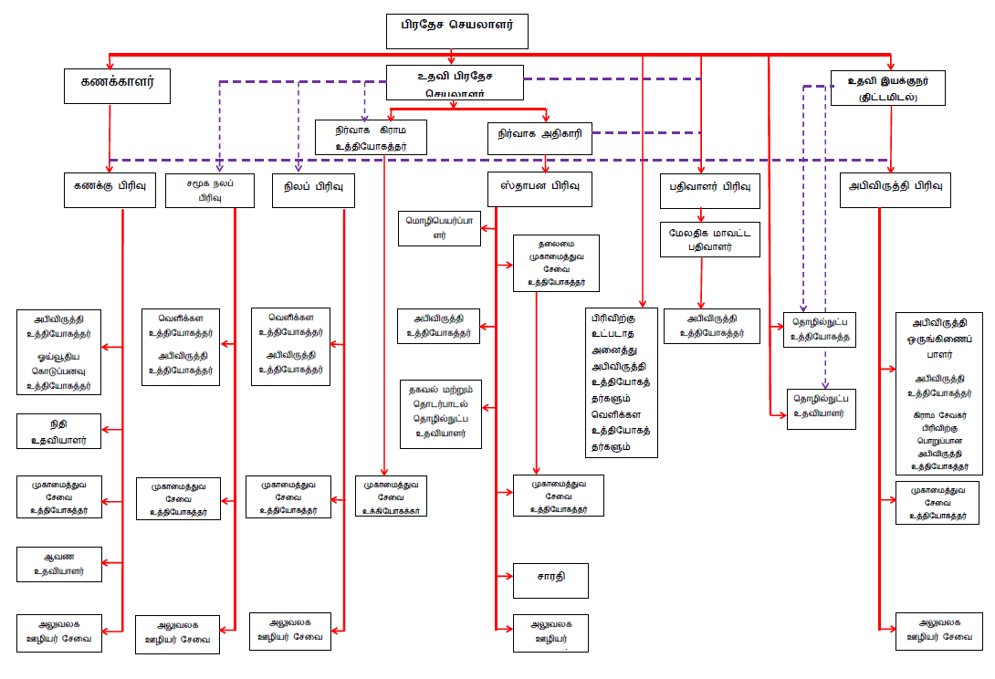 organization structure ta new